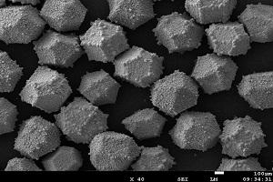 Cobalt Coating