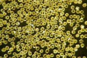 Functionalization of Artificial Diamond Surface